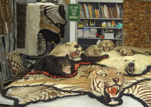 Wild Bill's Furs - Trophy Hospital For Restoration and Repair of Animal Rugs,  Heads & Furs